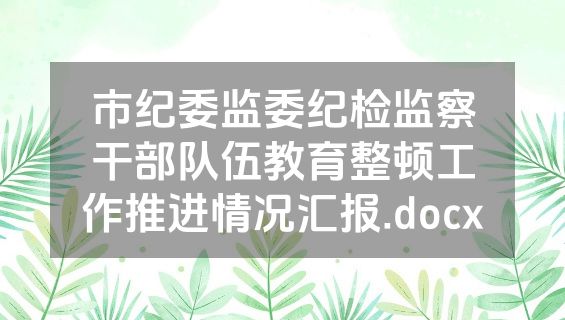 市纪委监委纪检监察干部队伍教育整顿工作推进情况汇报.docx