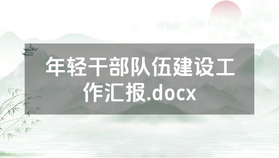 年轻干部队伍建设工作汇报.docx