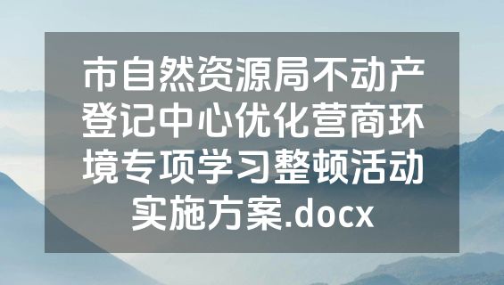 市自然资源局不动产登记中心优化营商环境专项学习整顿活动实施方案.docx