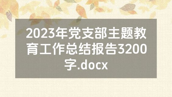 2023年党支部主题教育工作总结报告3200字.docx