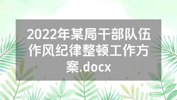 2022年某局干部队伍作风纪律整顿工作方案.docx