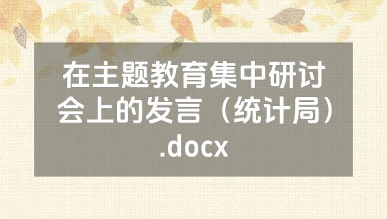 在主题教育集中研讨会上的发言（统计局）.docx