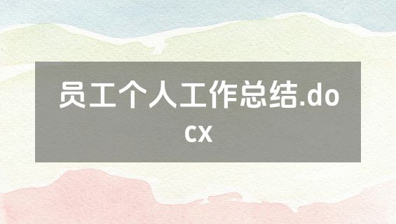 员工个人工作总结.docx