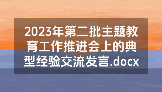 2023年第二批主题教育工作推进会上的典型经验交流发言.docx