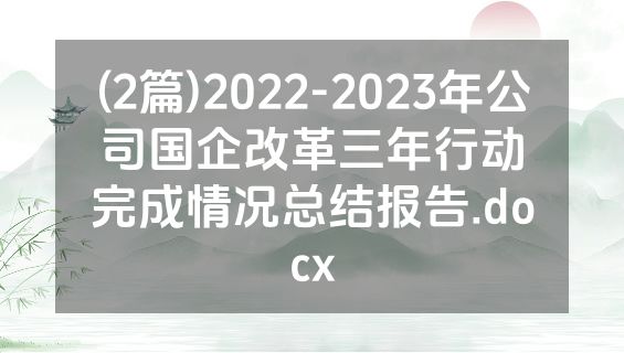 (2篇)2022-2023年公司国企改革三年行动完成情况总结报告.docx