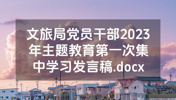 文旅局党员干部2023年主题教育第一次集中学习发言稿.docx
