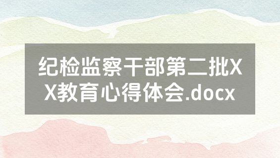 纪检监察干部第二批XX教育心得体会.docx
