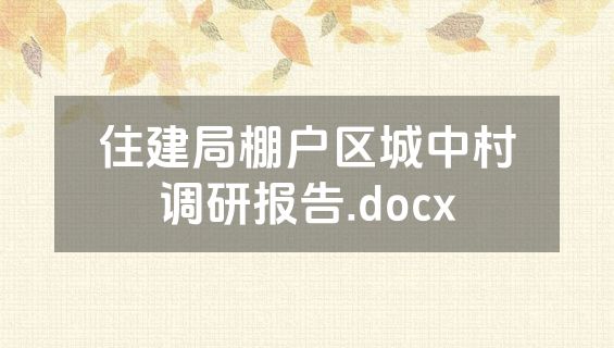 住建局棚户区城中村调研报告.docx