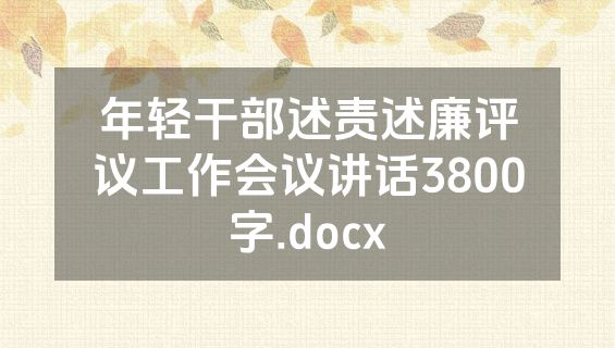 年轻干部述责述廉评议工作会议讲话3800字.docx