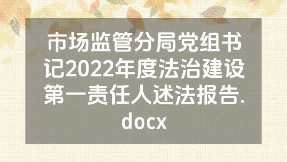市场监管分局党组书记2022年度法治建设第一责任人述法报告.docx