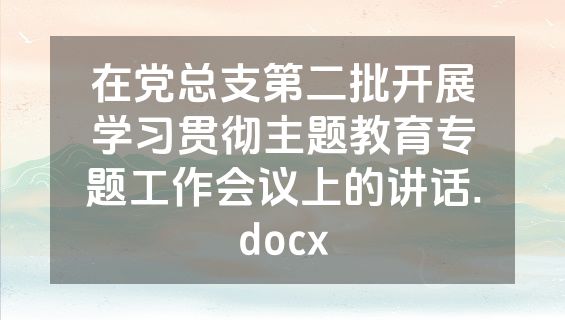 在党总支第二批开展学习贯彻主题教育专题工作会议上的讲话.docx