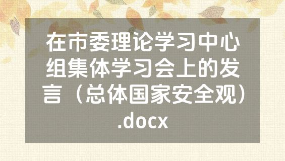 在市委理论学习中心组集体学习会上的发言（总体国家安全观）.docx