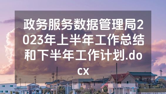 政务服务数据管理局2023年上半年工作总结和下半年工作计划.docx