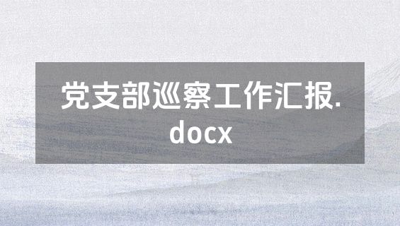 党支部巡察工作汇报.docx