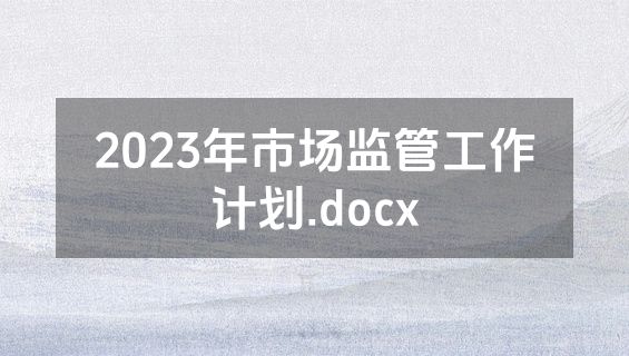2023年市场监管工作计划.docx