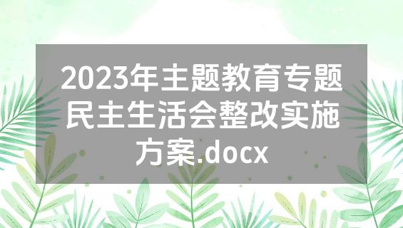 2023年主题教育专题民主生活会整改实施方案.docx