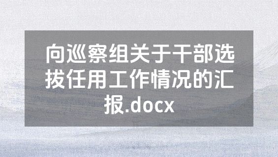 向巡察组关于干部选拔任用工作情况的汇报.docx