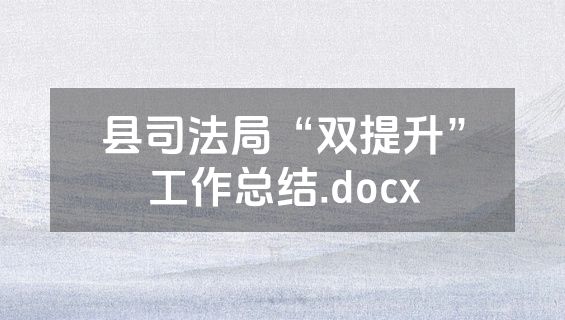 县司法局“双提升”工作总结.docx