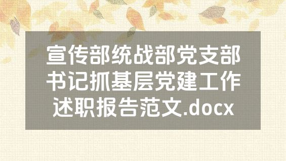 宣传部统战部党支部书记抓基层党建工作述职报告范文.docx