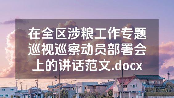在全区涉粮工作专题巡视巡察动员部署会上的讲话范文.docx
