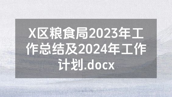 X区粮食局2023年工作总结及2024年工作计划.docx
