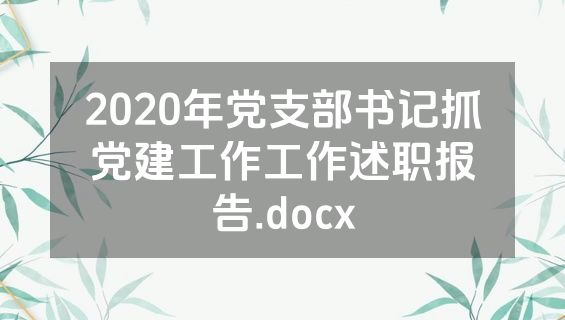 2020年党支部书记抓党建工作工作述职报告.docx