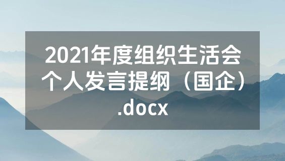 2021年度组织生活会个人发言提纲（国企）.docx