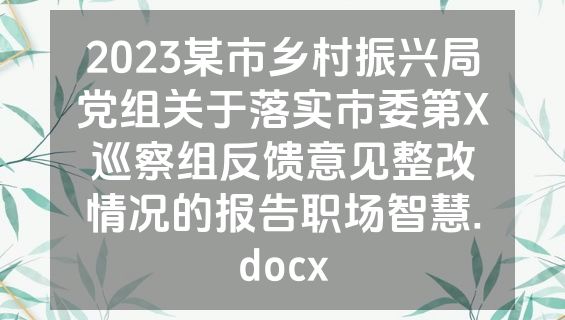 2023某市乡村振兴局党组关于落实市委第X巡察组反馈意见整改情况的报告职场智慧.docx