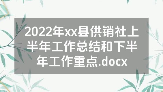 2022年xx县供销社上半年工作总结和下半年工作重点.docx