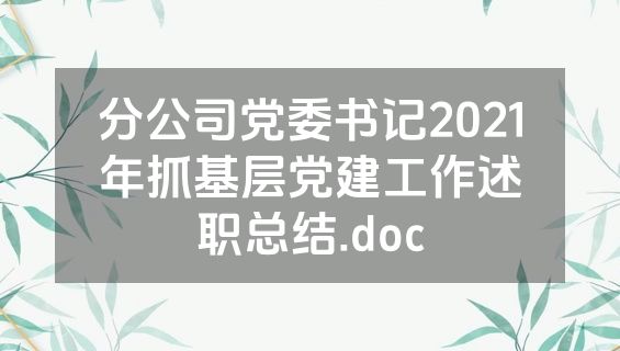 分公司党委书记2021年抓基层党建工作述职总结.doc