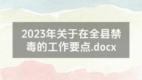 2023年关于在全县禁毒的工作要点.docx