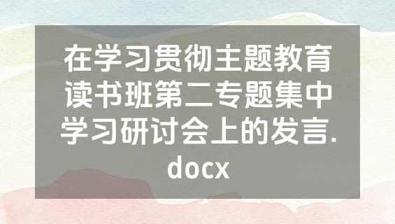 在学习贯彻主题教育读书班第二专题集中学习研讨会上的发言.docx