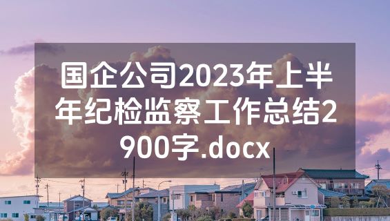 国企公司2023年上半年纪检监察工作总结2900字.docx