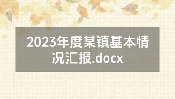 2023年度某镇基本情况汇报.docx
