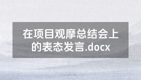 在项目观摩总结会上的表态发言.docx