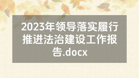 2023年领导落实履行推进法治建设工作报告.docx