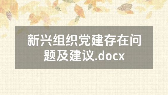 新兴组织党建存在问题及建议.docx