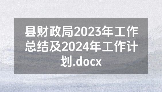 县财政局2023年工作总结及2024年工作计划.docx