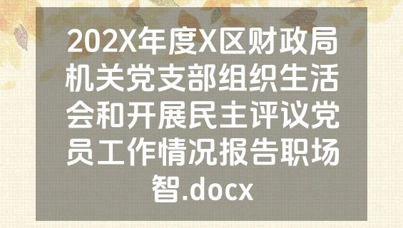 202X年度X区财政局机关党支部组织生活会和开展民主评议党员工作情况报告职场智.docx