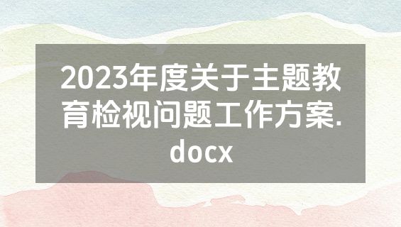 2023年度关于主题教育检视问题工作方案.docx
