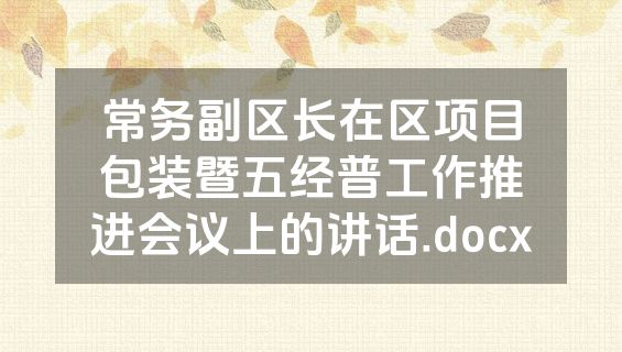 常务副区长在区项目包装暨五经普工作推进会议上的讲话.docx