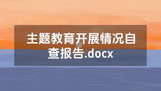 主题教育开展情况自查报告.docx