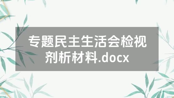 专题民主生活会检视剂析材料.docx