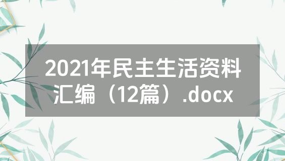 2021年民主生活资料汇编（12篇）.docx