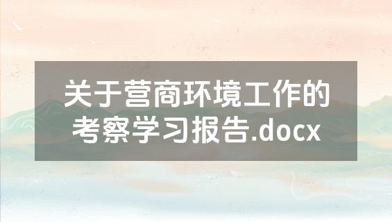 关于营商环境工作的考察学习报告.docx