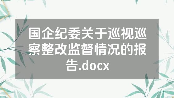 国企纪委关于巡视巡察整改监督情况的报告.docx