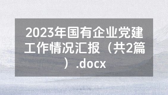 2023年国有企业党建工作情况汇报（共2篇）.docx