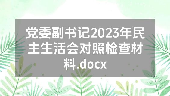 党委副书记2023年民主生活会对照检查材料.docx