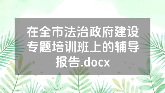 在全市法治政府建设专题培训班上的辅导报告.docx