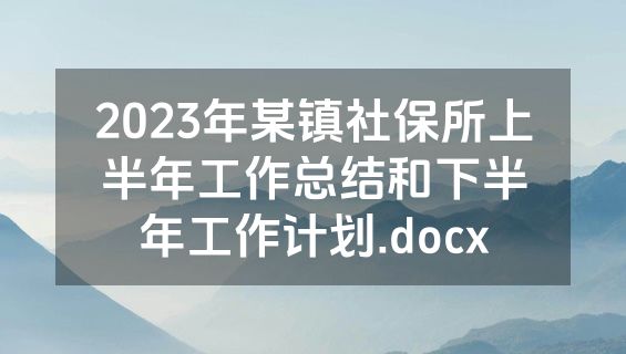 2023年某镇社保所上半年工作总结和下半年工作计划.docx
